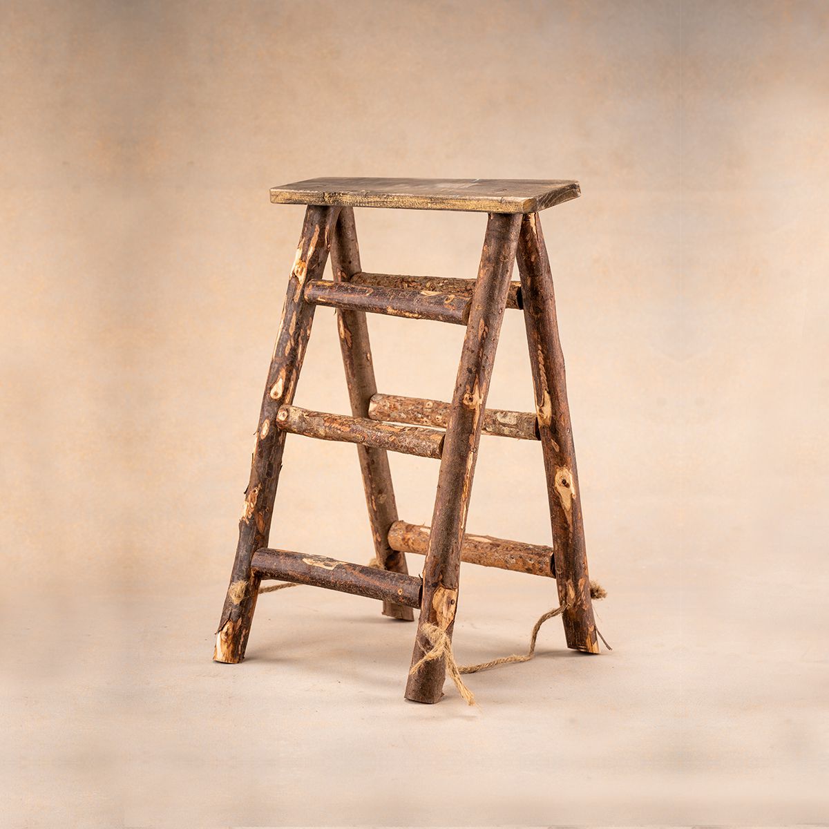 Rustic log ladder